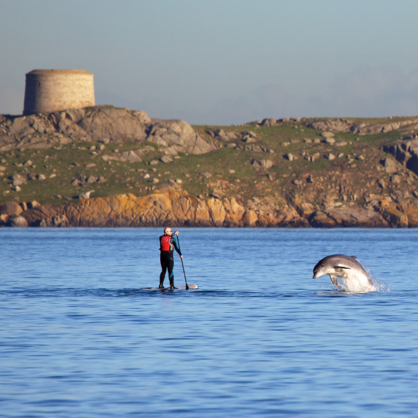 Interesting Historical Facts About Dalkey